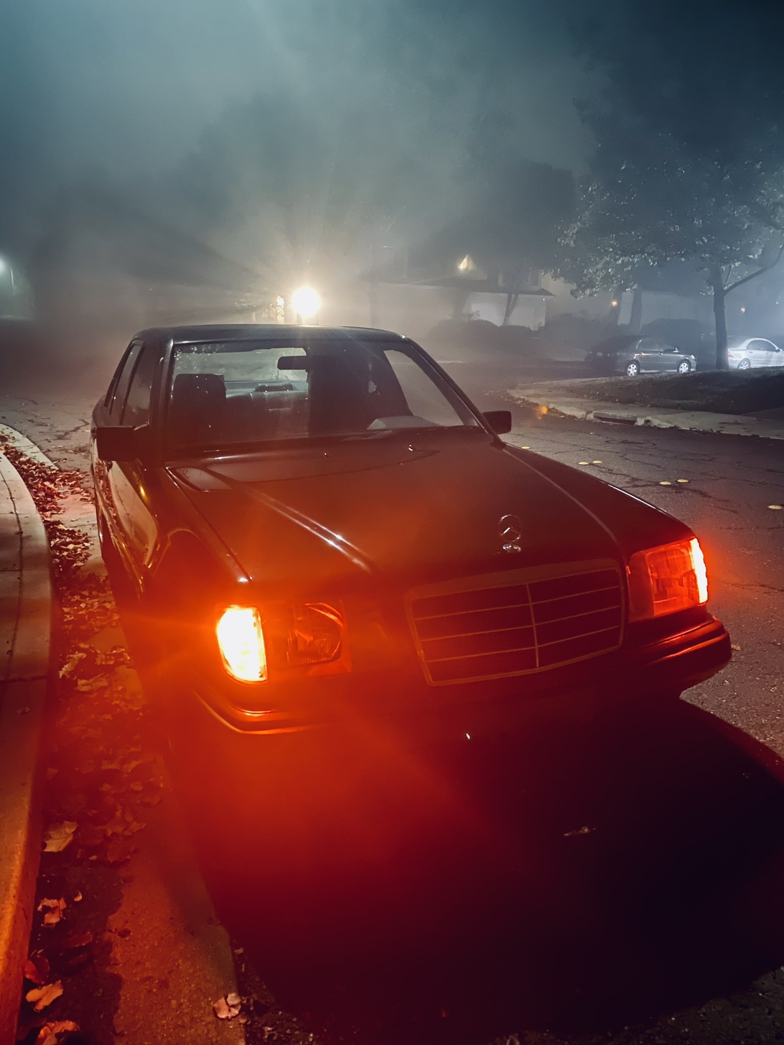 Car tail lights glowing in misty night conditions.
