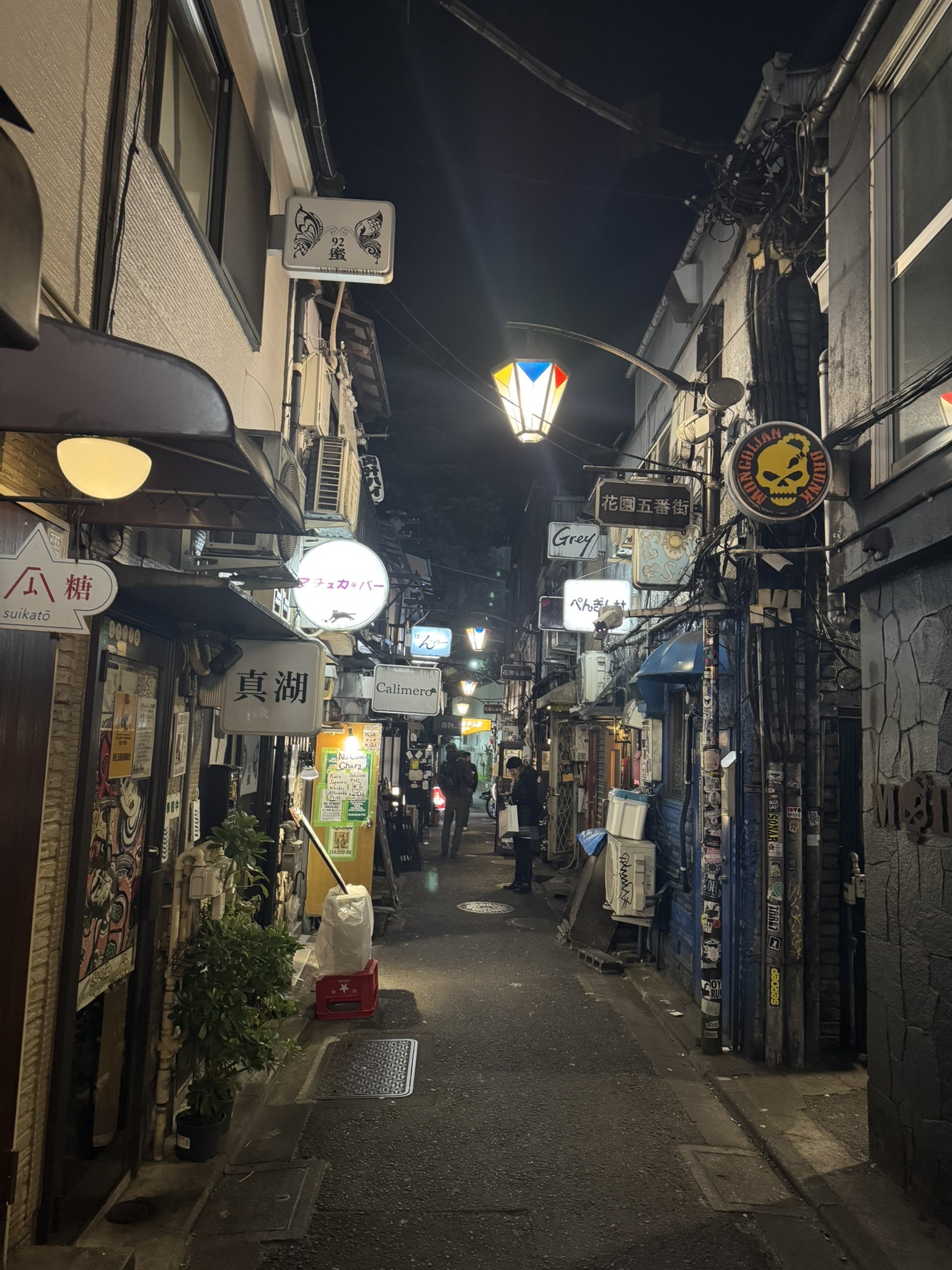 Tight alleyway in Japan lit by signs and overhead fixtures at night.